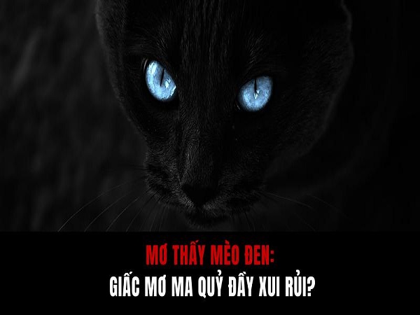 Chiêm bao thấy mèo đen đánh con gì? điềm gì?