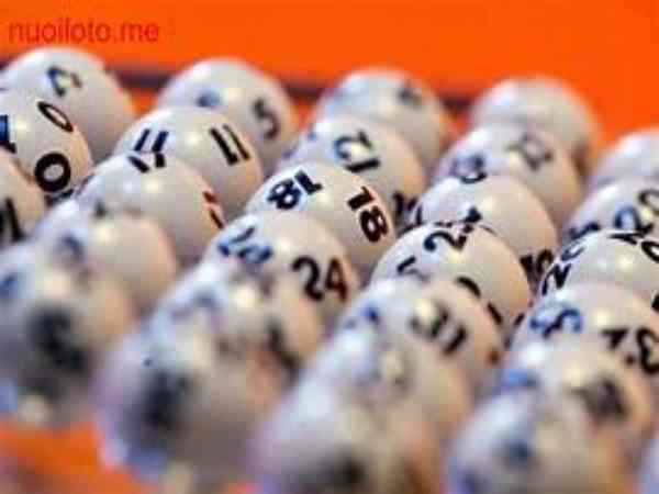 Kinh nghiệm nuôi dàn số 36 số khung ba ngày