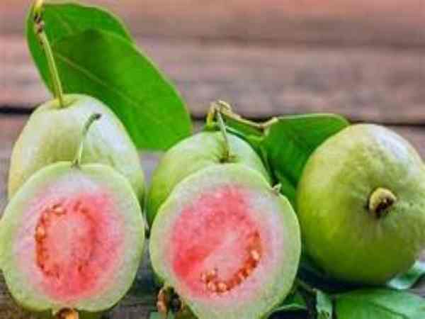 Chiêm bao mơ thấy quả ổi chín