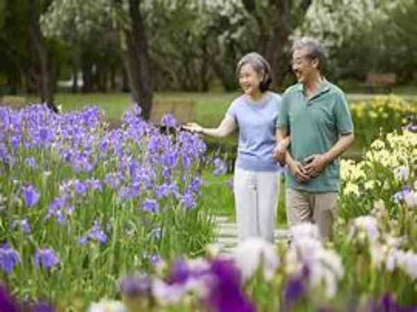 Ngủ mê thấy người già đi dạo