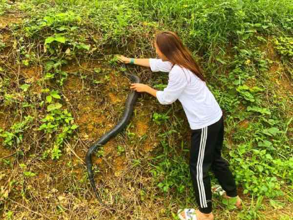 Mộng mị thấy bắt được rắn độc