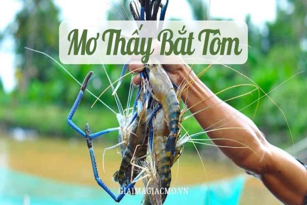 Mơ thấy bắt tôm có điềm báo gì và đánh số nào trúng lớn?