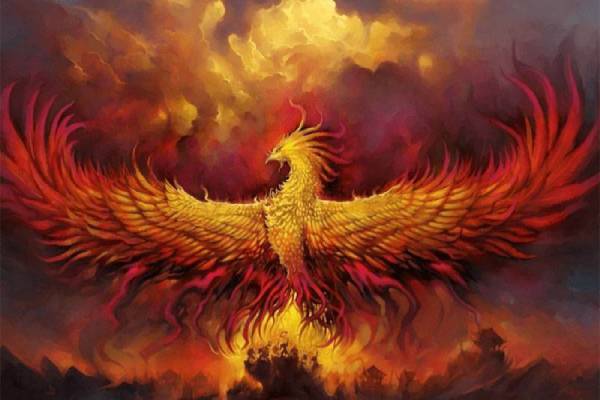 Mơ thấy phượng hoàng đánh số nào và điềm báo là gì?