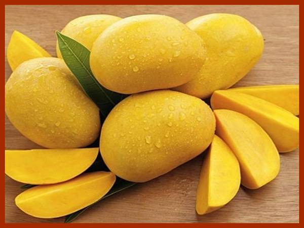 Giải mã giấc mơ thấy quả xoài là gì