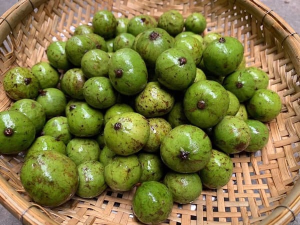 Điềm báo giấc mơ thấy quả sấu là tốt hay xấu.