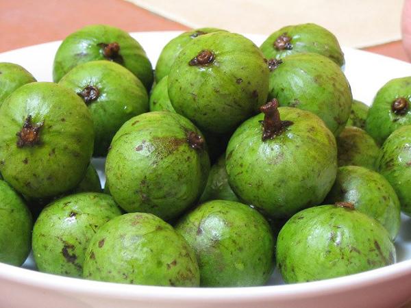 Quả sấu số mấy