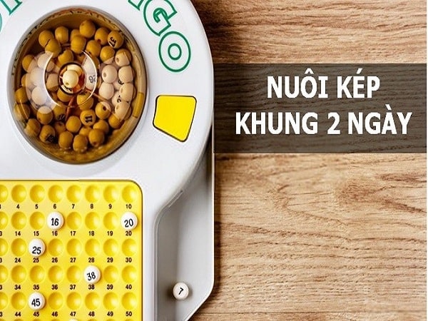 Tìm hiểu nuôi cặpkép khung 2 ngày 247 là gì?