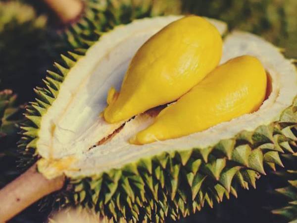 mơ thấy quả sầu riêng