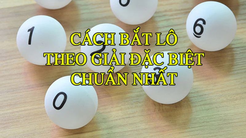 Thế nào là bắt con theo đặc biệt?