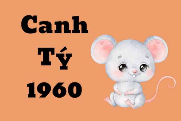 Phân tích con số đẹp tuổi Canh Tý ngày 6/6/2025
