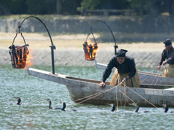 Ngủ mơ thấy bắt cá hé lộ điều gì trong tương lai?