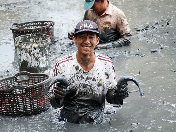 Ngủ mơ thấy bắt cá hé lộ điều gì trong tương lai?