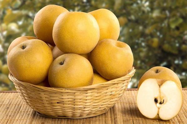 Mơ thấy quả lê: Tài lộc hay thử thách đang chờ đón?