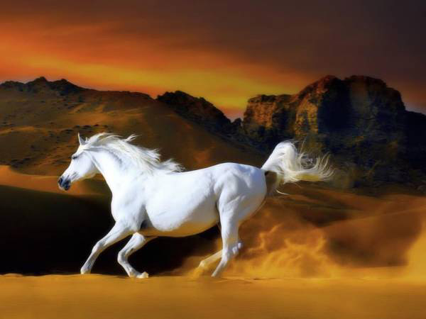 Chi tiết tử vi tuổi Bính Ngọ ngày 18/9/2025 thứ 5 hôm nay