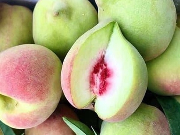 Ngủ mơ thấy quả đào là điềm tích cực hay tiêu cực?