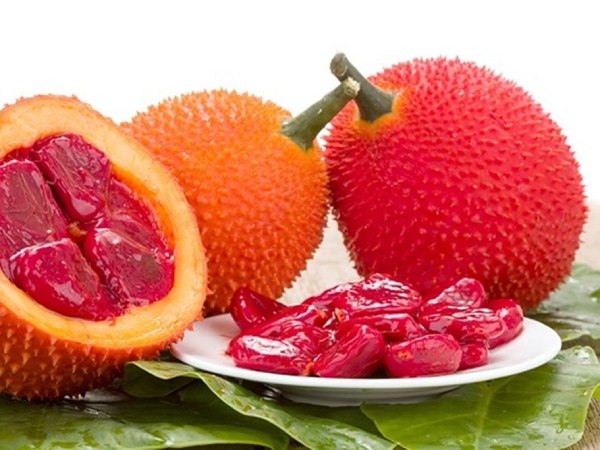 Mộng mị thấy quả gấc chín đỏ rực