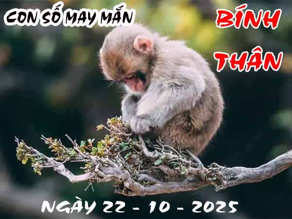 Cặp số đẹp tuổi Bính Thân ngày 22/10/2025 thứ 4 hôm nay