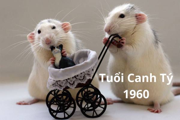 Giải mã con số đẹp tuổi Canh Tý 11/10/2025 có thật sự phát tài?