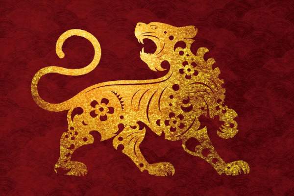 Gợi ý con số phát tài tuổi Nhâm Dần 24/10/2025 đổi vận