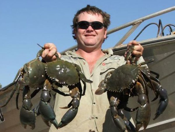 Nằm mơ thấy bắt cua là điềm gì, số mấy phú quý?