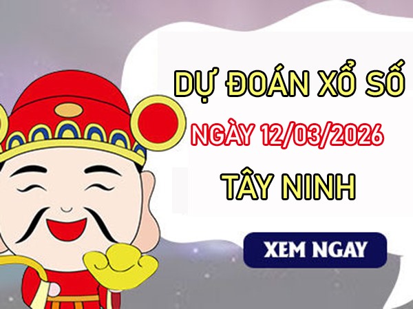 Tham khảo soi cầu TN ngày 12/3/2026 thứ 5 siêu chính xác