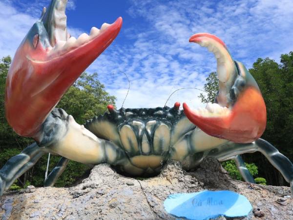 Con cua số mấy và giải mã ý nghĩa con cua theo dân gian