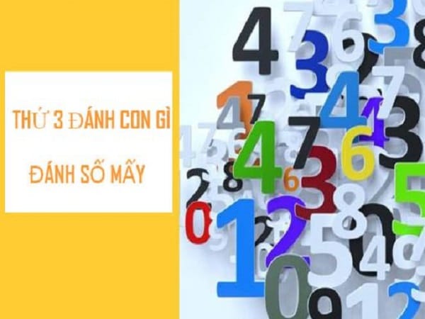 Thống kê những con lô hay về thứ 3 hôm nay nên theo dõi Thống kê những con lô hay về thứ 3 hôm nay nên theo dõi
